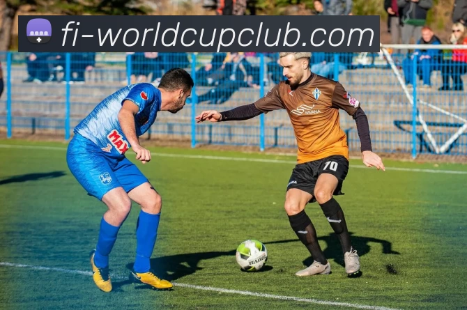 世界杯官方投注平台生态图